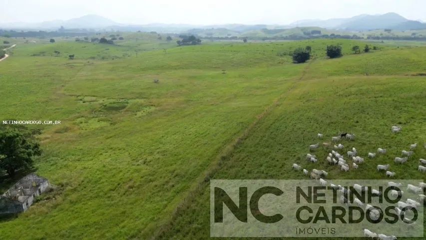Fazenda a venda  - Foto 3