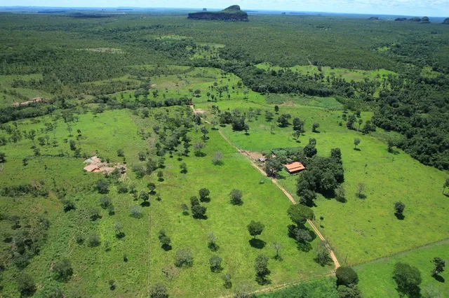 Fazenda em Ponte Alta. Beira do asfalto. Troca.