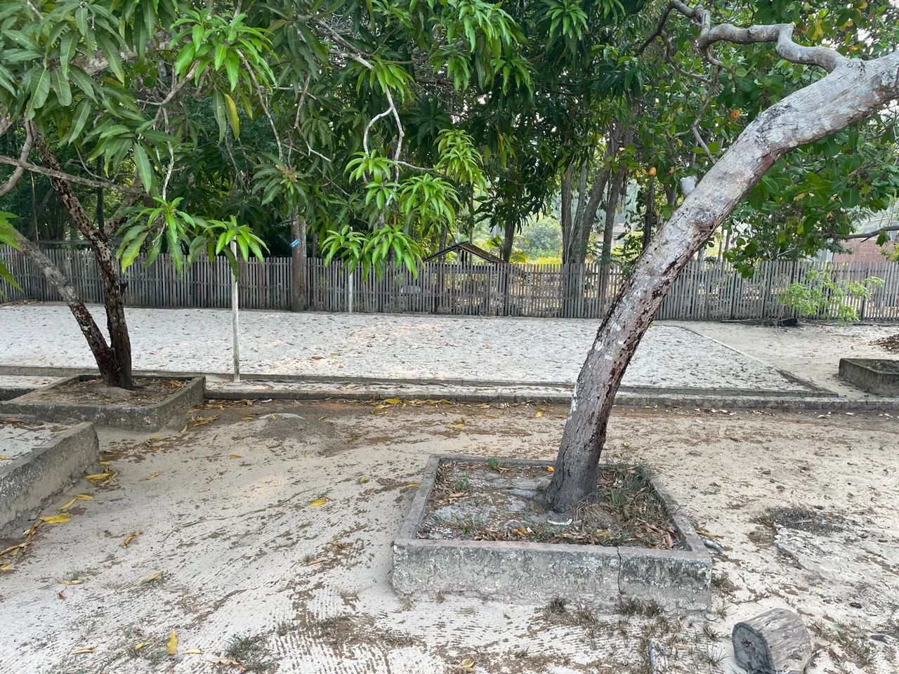 Terreno com Igarapé Av. Everaldo Martins KM 8 - Foto 2