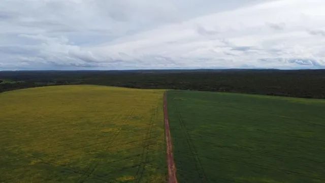 Fazenda em Novo Acordo. 67 mil com lavoura.