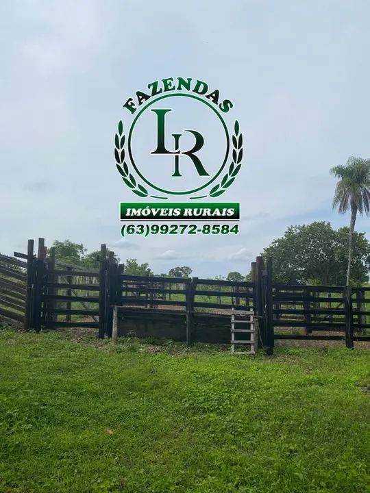 Fazenda 38 Alqueires Tocantins - Foto 2