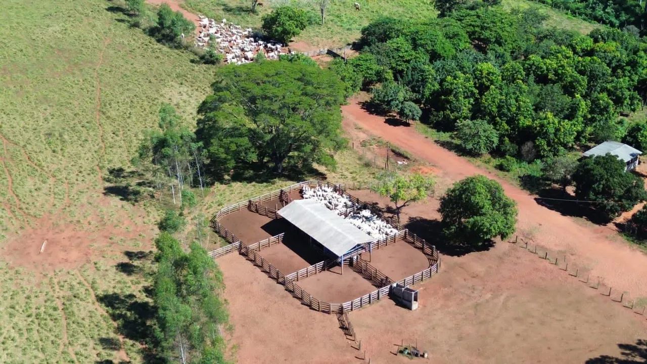 Fazenda Código 0100 - APTIDÃO PECUÁRIA  - Foto 2