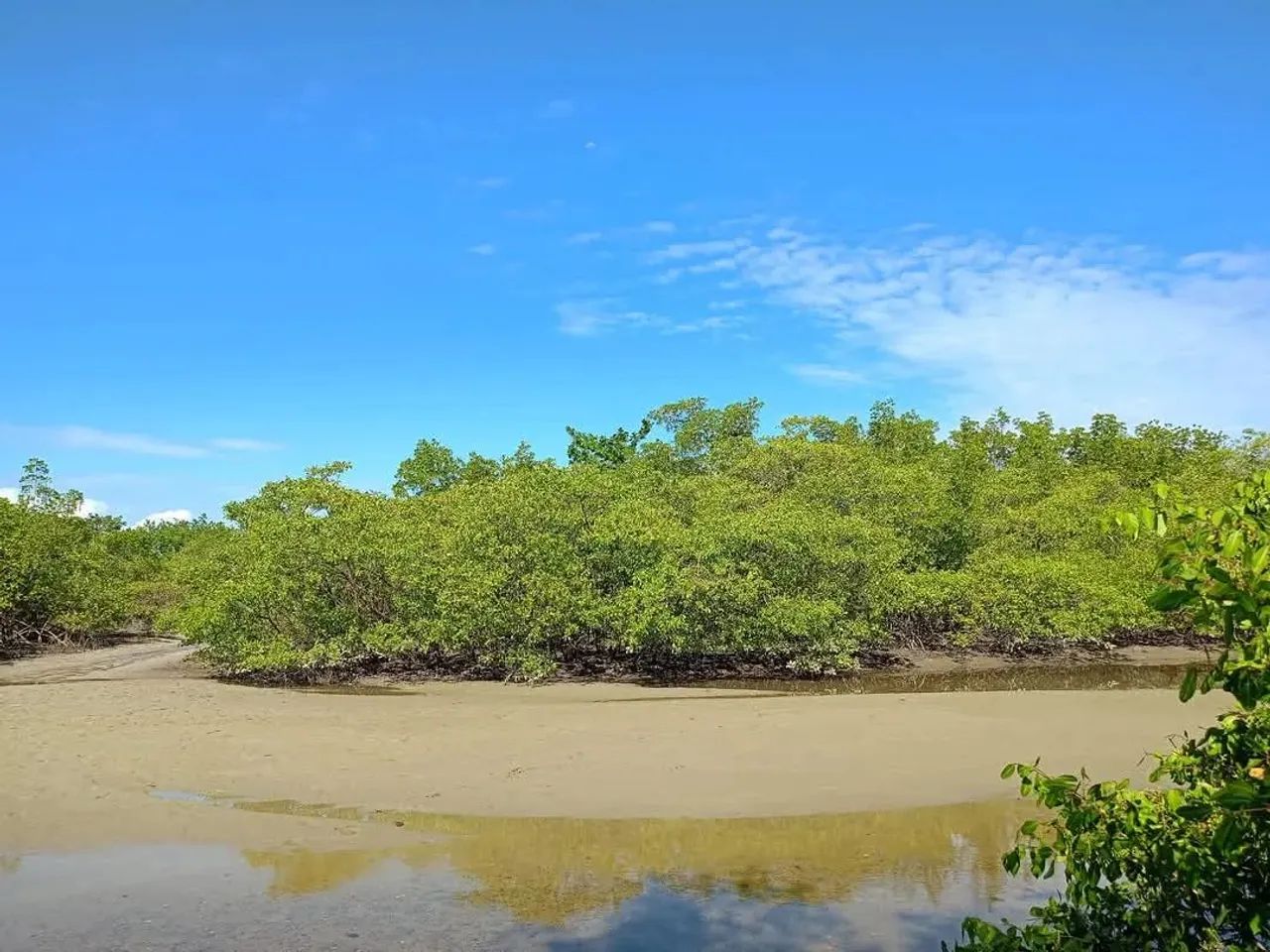 Ótimo terreno plano a venda em condomínio fechado c/ saída para bela praia em Itaparica-Ba - Foto 4