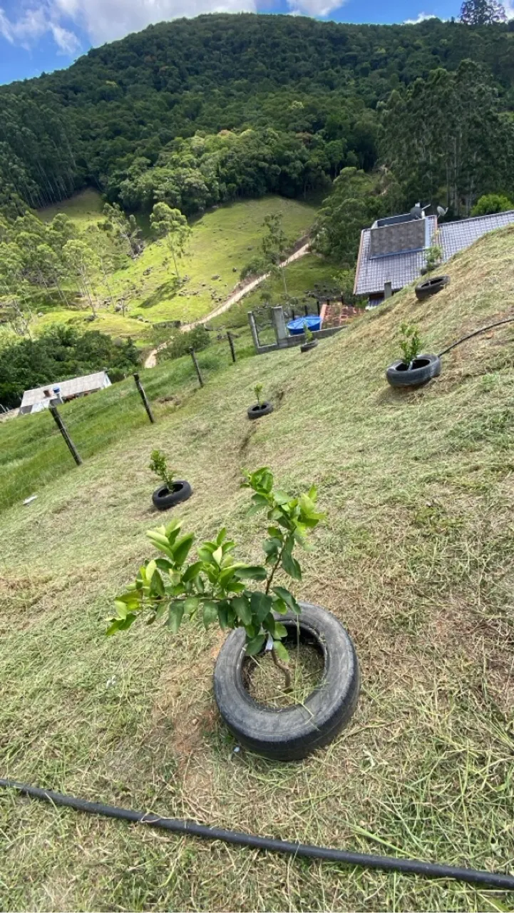 Seu Refúgio no Campo: Sítio Encantador à Venda!