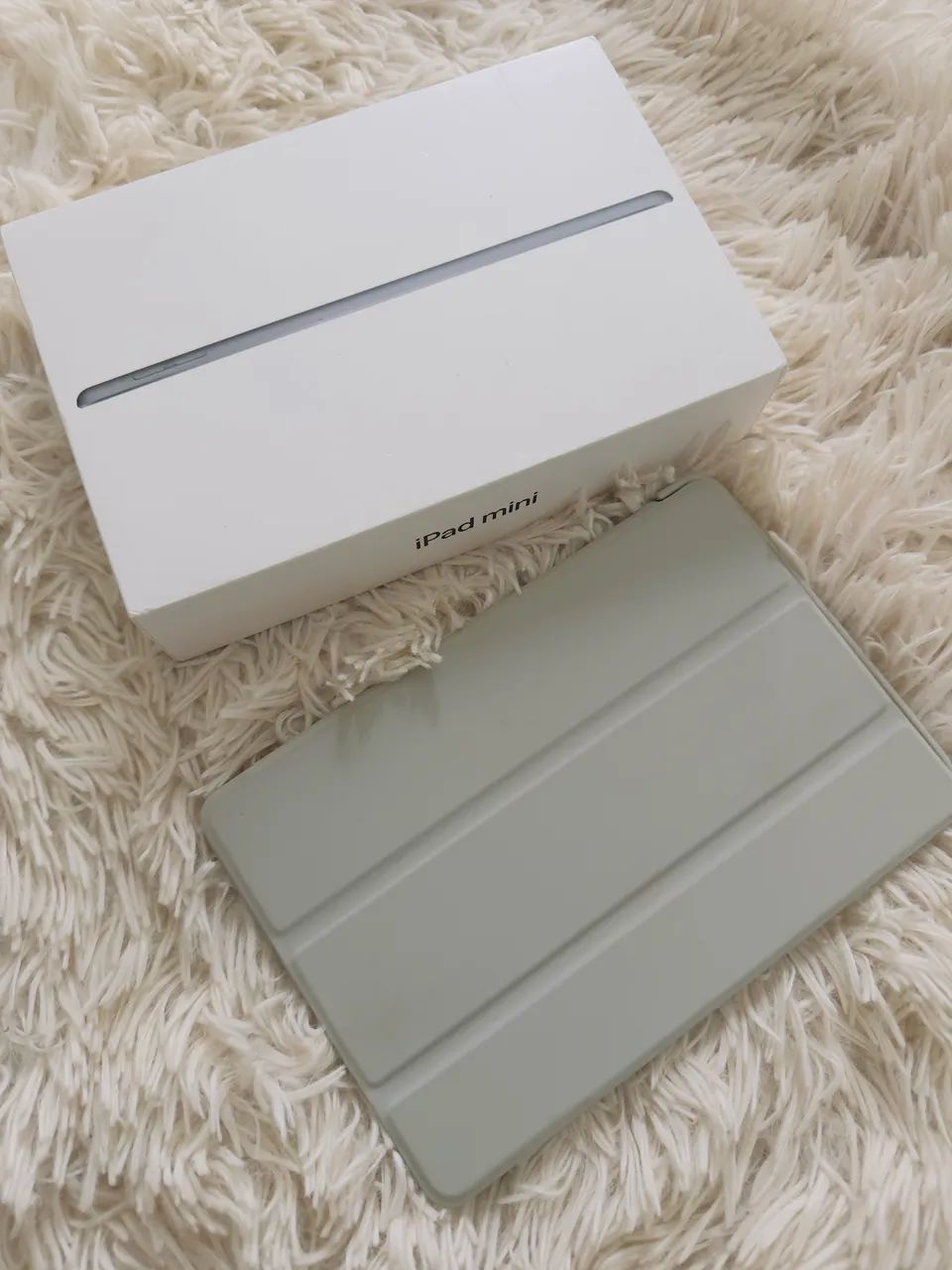 Ipad Mini64169280294786124