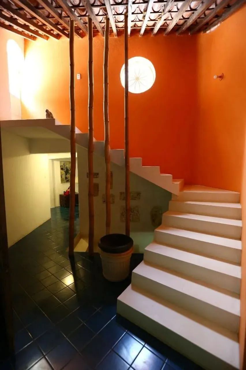 Chácara - / Rural / Frade (Cunhambebe) - Foto 11