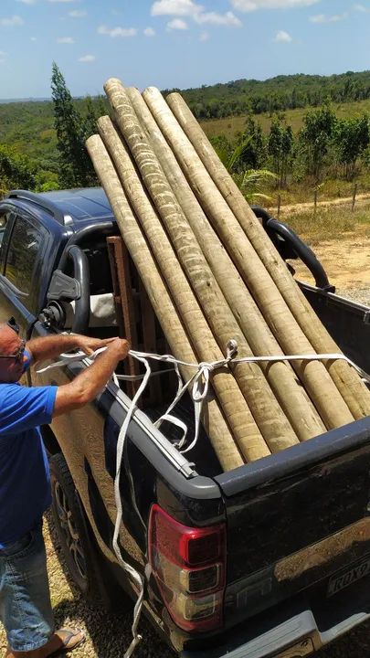 Estaca de Eucalipto - Campo Belo Madeiras - Foto 3