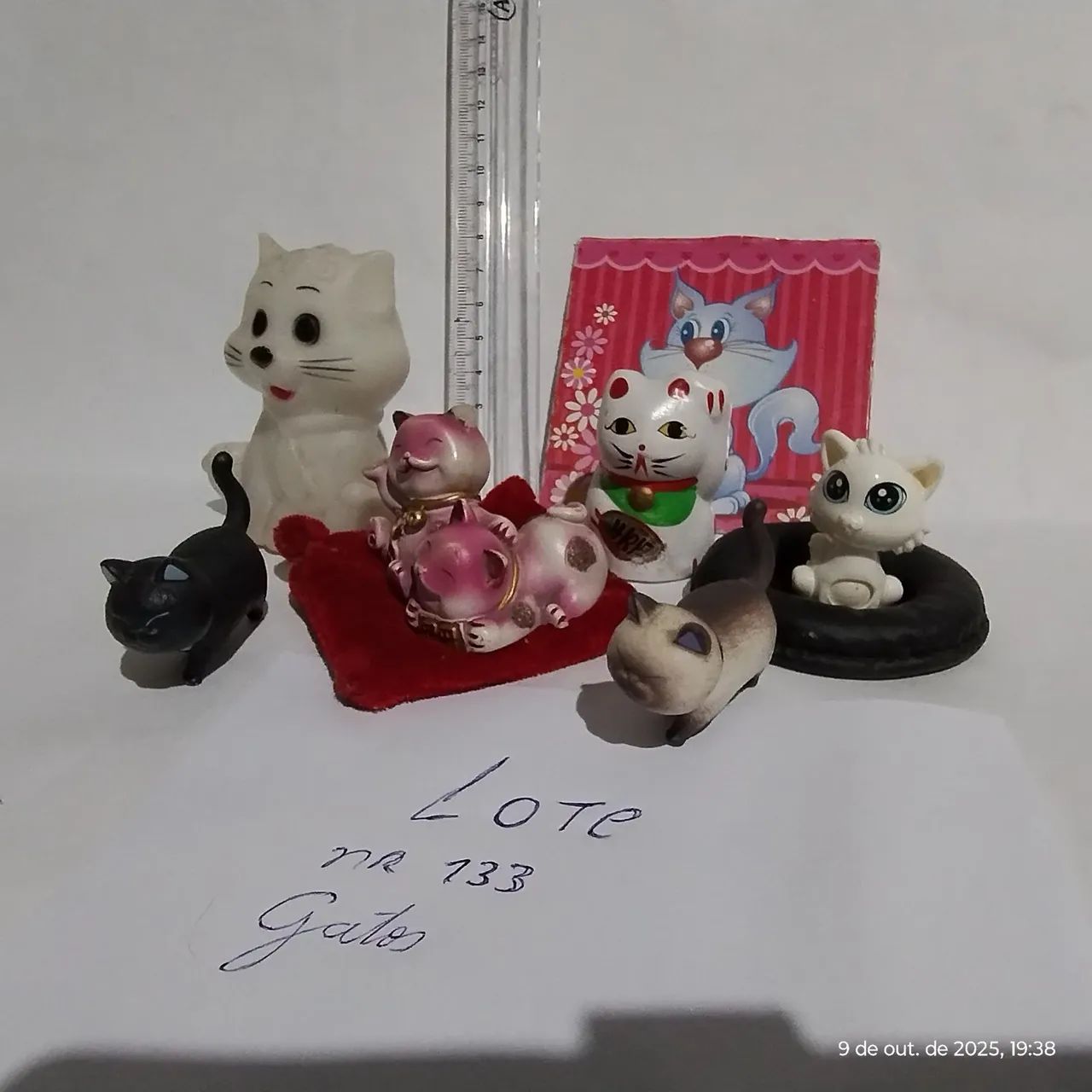 Lote 183, Gatinhos Diversos.
