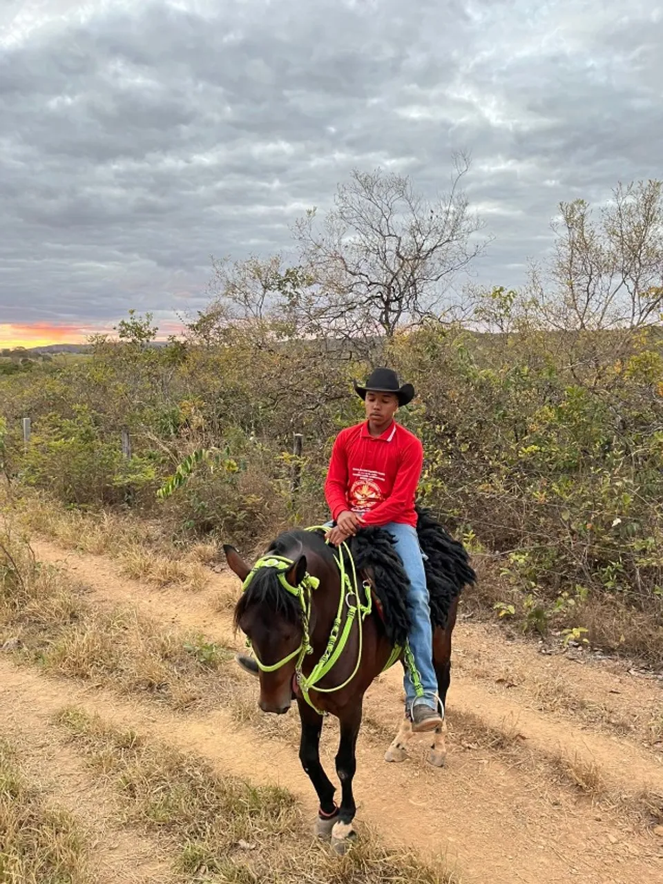 Cavalo
