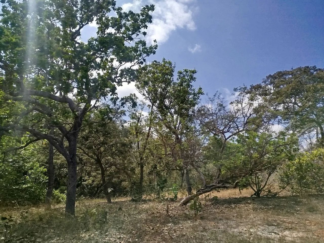 Terreno a venda - Foto 3