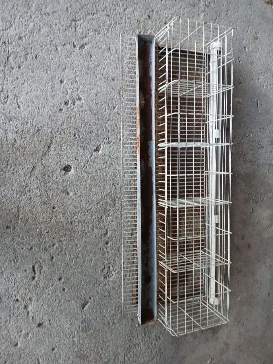 Gaiola pra codorna  - Foto 3
