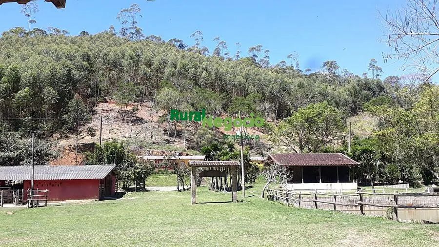 FAZENDA FORMADA COM LAGOS E ALTITUDE EM PARAIBUNA-SP - Foto 4