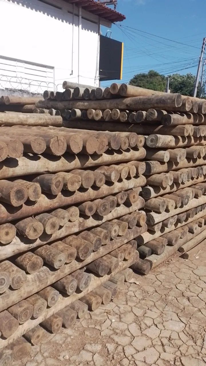 Eucalipto Tratado Amaru - Foto 5