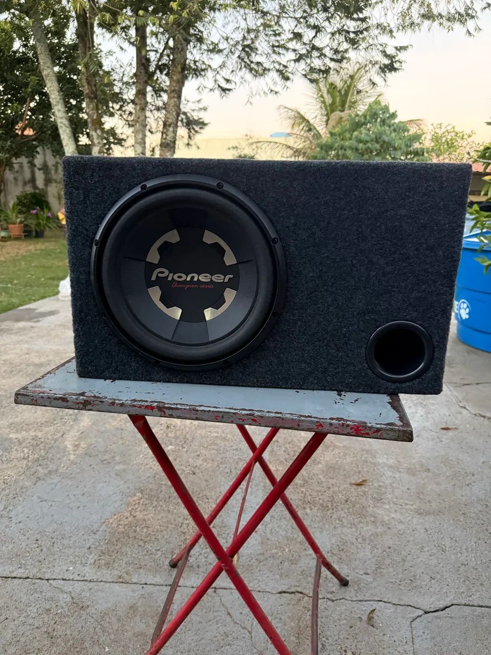 Sub de 12 Pioneer 