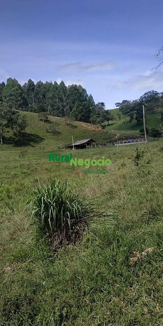 CHÁCARA SEM BENFEITORIAS E FÁCIL ACESSO EM CUNHA-SP - Foto 2