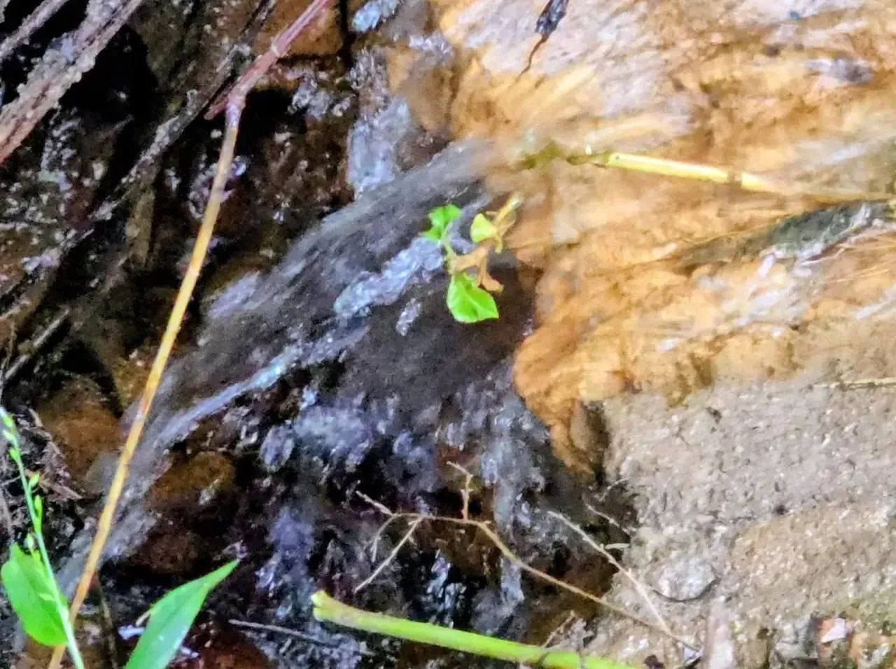 Terreno Vale dos Sonhos - Foto 3