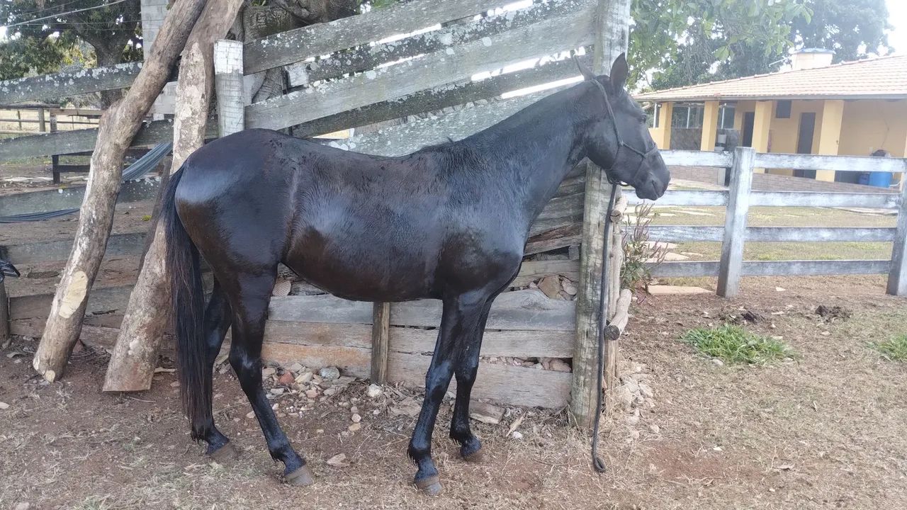 Vendo - Foto 3