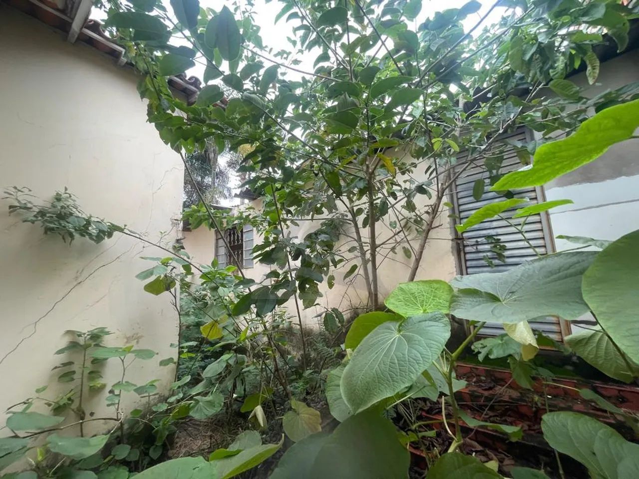 Casa para alugar em Campinas, Jardim Guanabara, com 3 quartos, com 186 m² - Foto 5