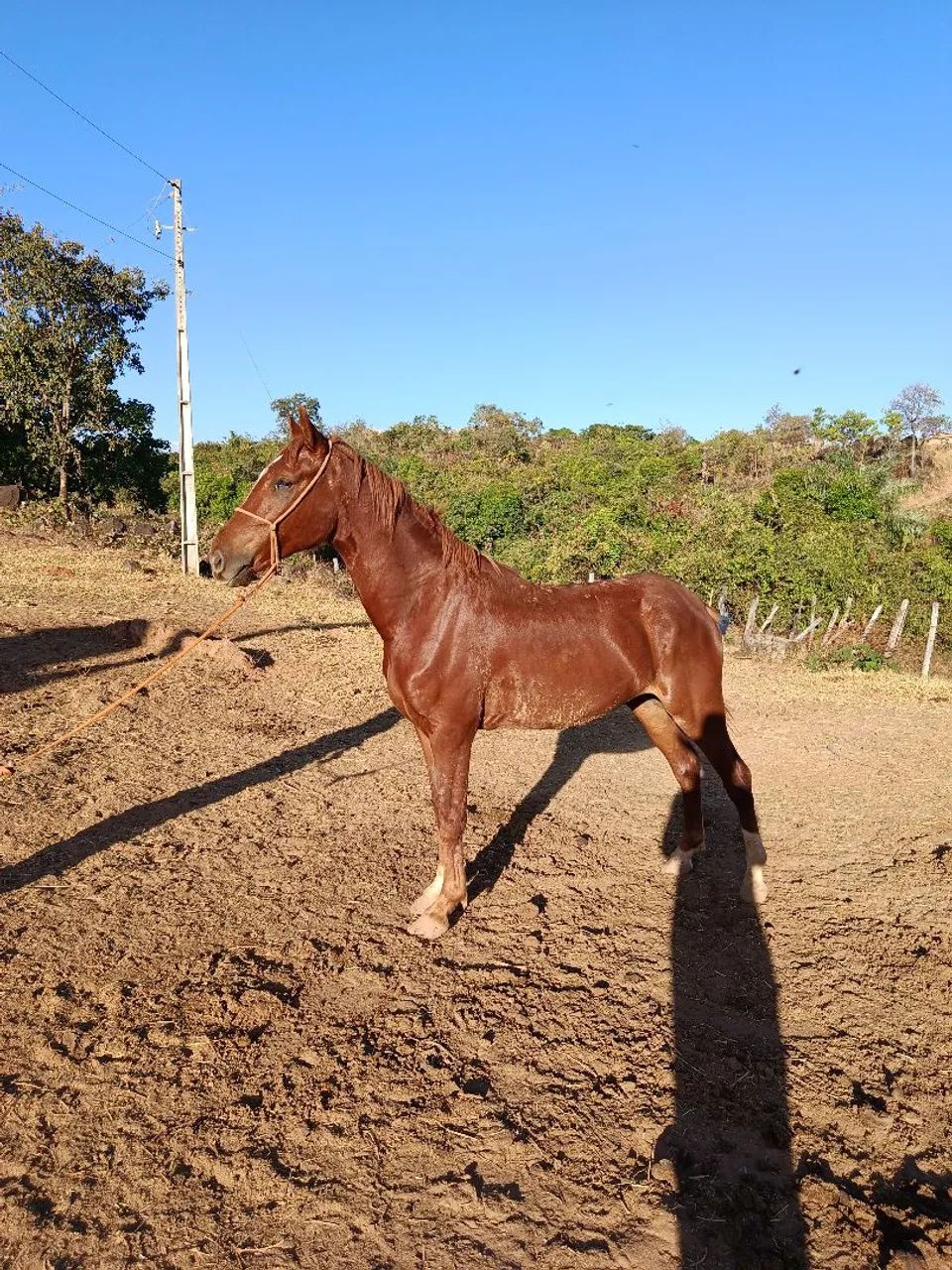 vendo ou troco  - Foto 3