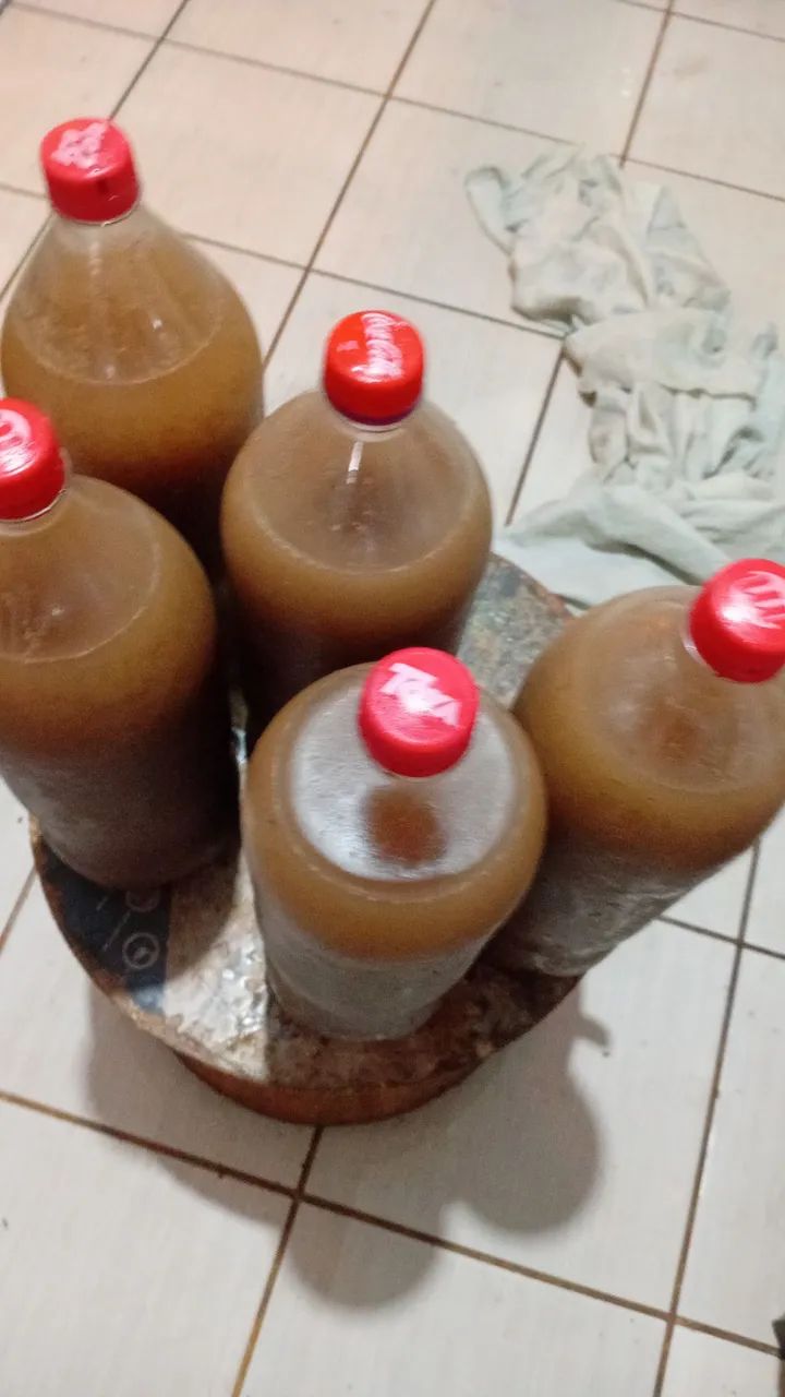 Vende-se tamarindo - Foto 2