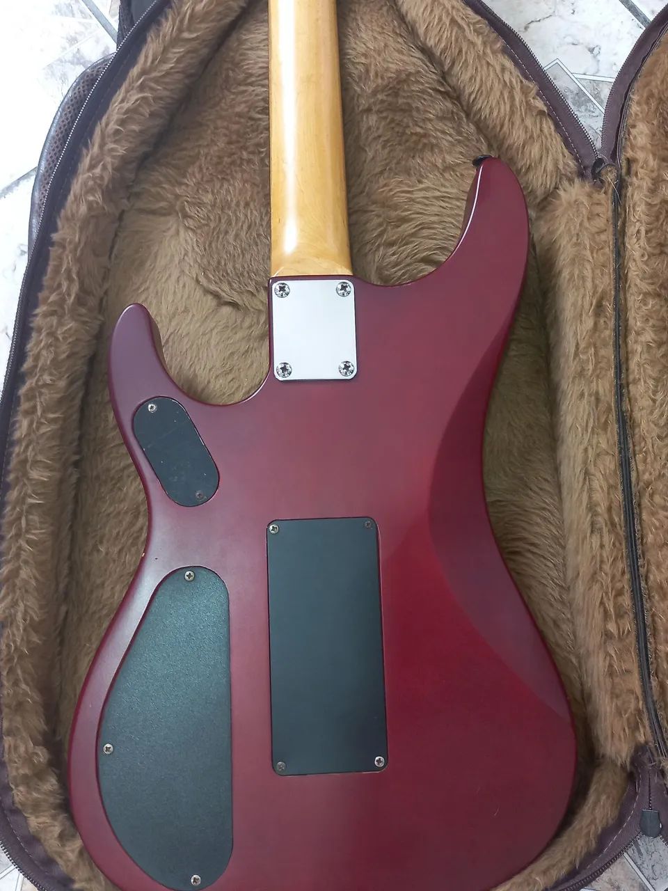 Washburn N2 - Foto 4