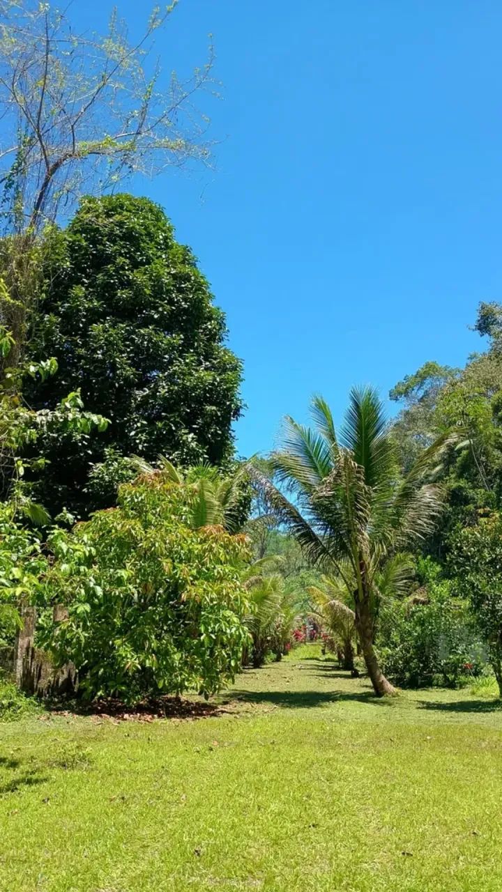 Lindo Sítio em Peruíbe com 5 Alquires! - Foto 2