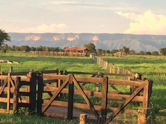 Fazenda Cuiabá - Foto 2