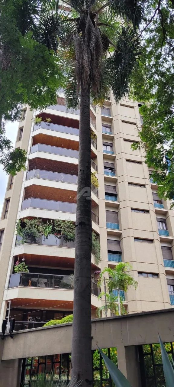 apartamento - Cambuí - Campinas - Foto 2