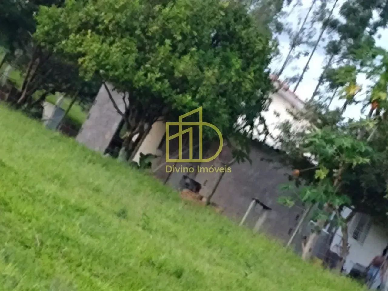 FAZENDA À VENDA EM ANGATUBA  SP - Foto 4