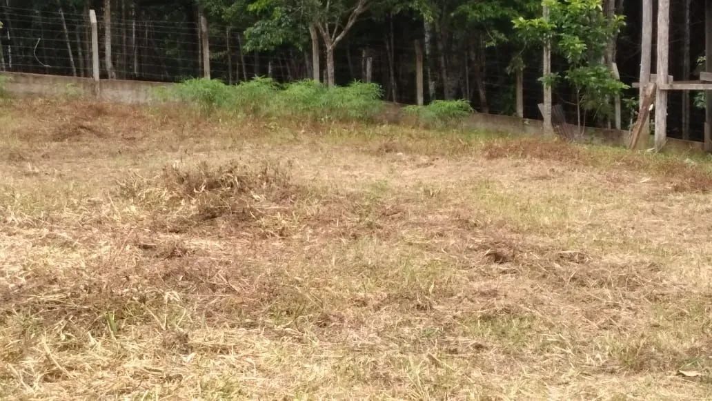 Vendo terreno 10/40m !  - Foto 3