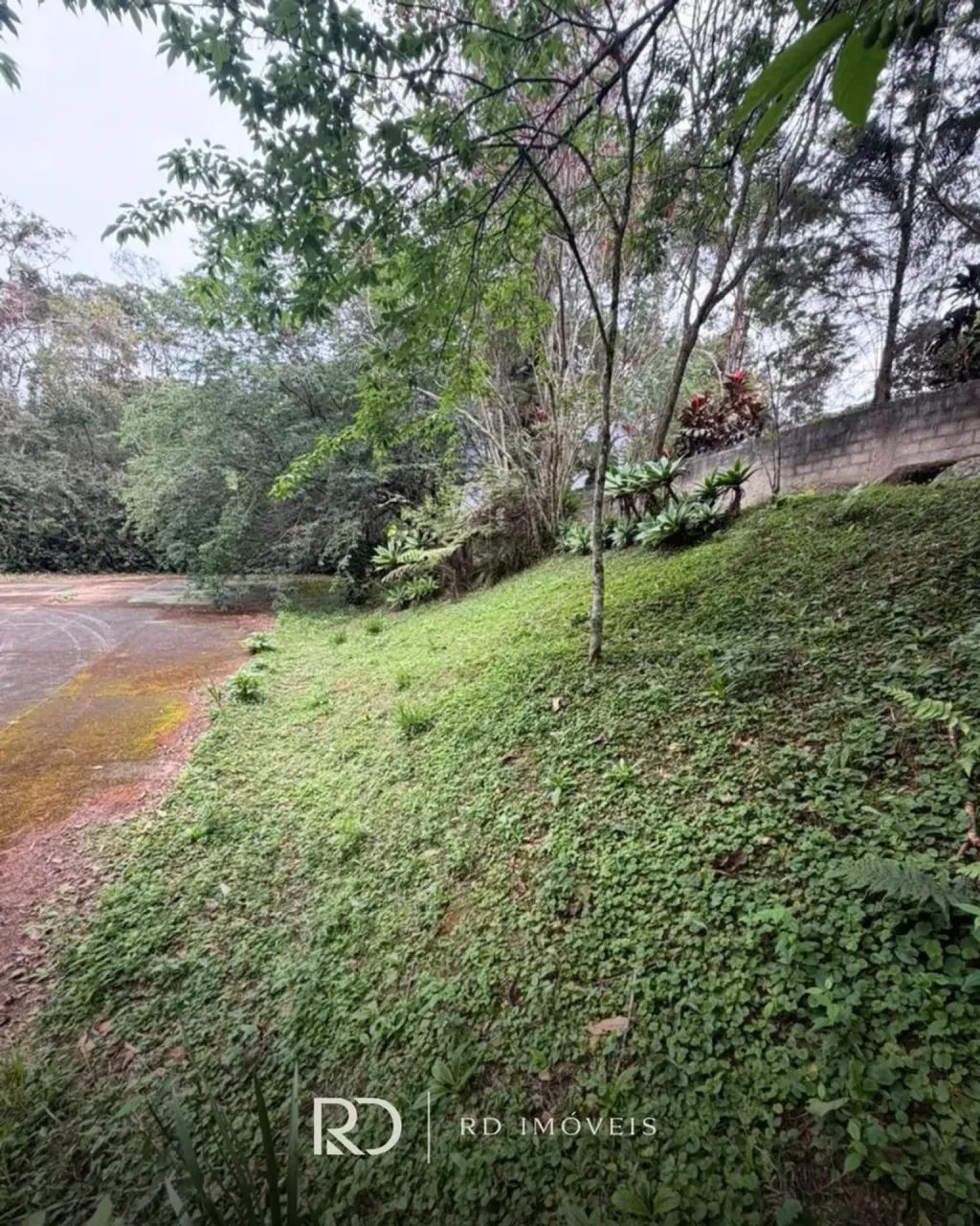 TERRENO EM ARARAS - PETROPOLIS - Foto 2