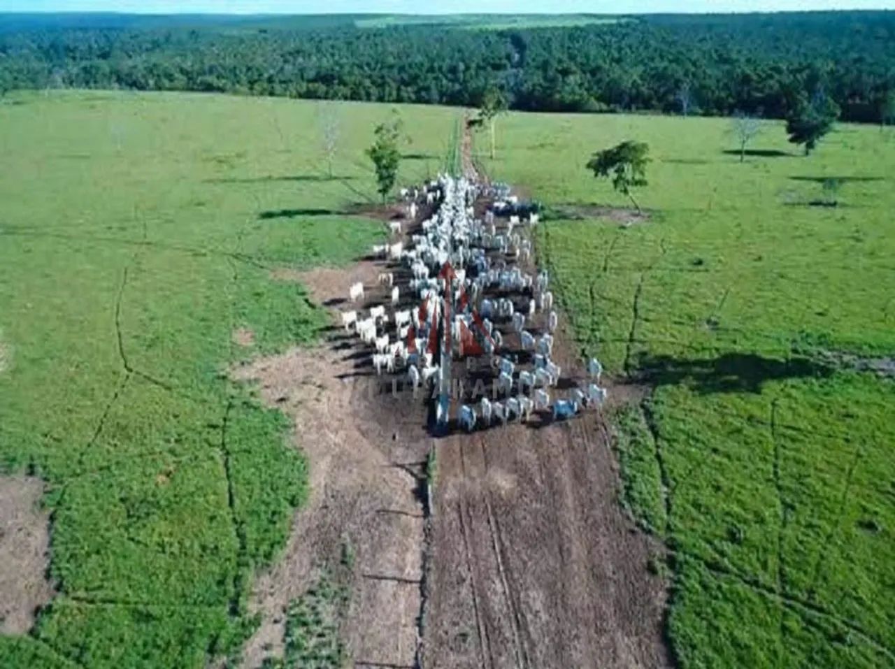 FAZENDA - PARANATINGA - MT - Foto 4