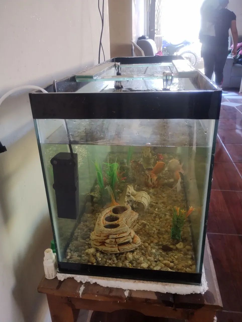 Aquário completo de 100 litros - Foto 3