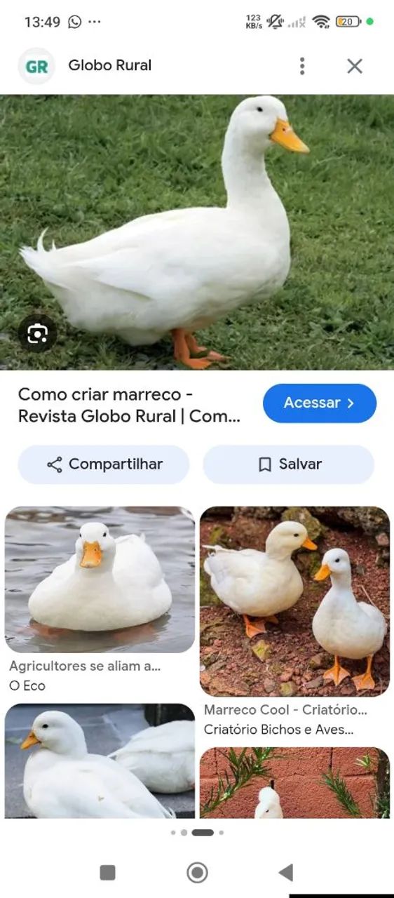 Procuro para comprar  - Foto 2