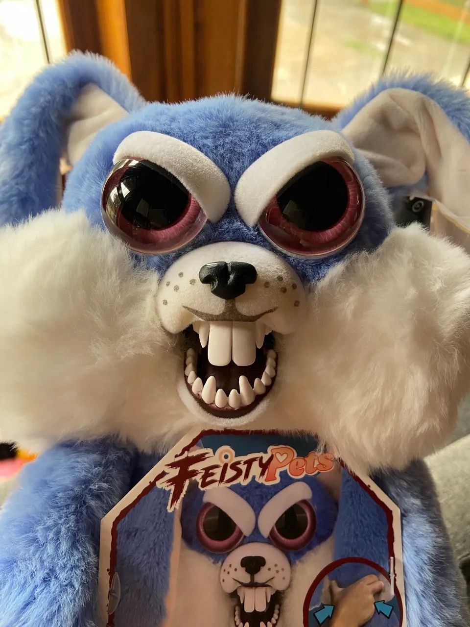 Coelho Azul Feisty Pets 