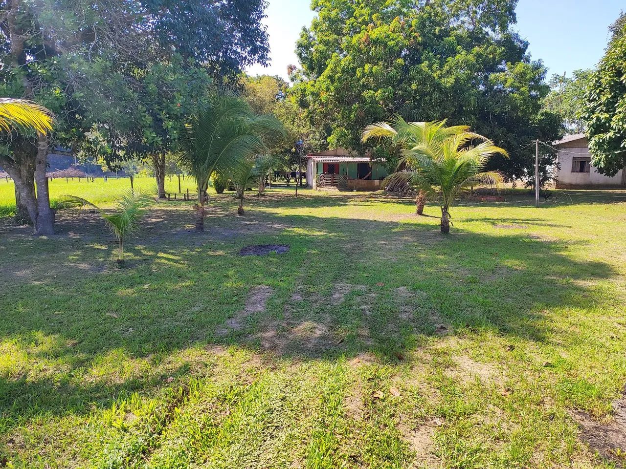 Chácara  - Foto 2