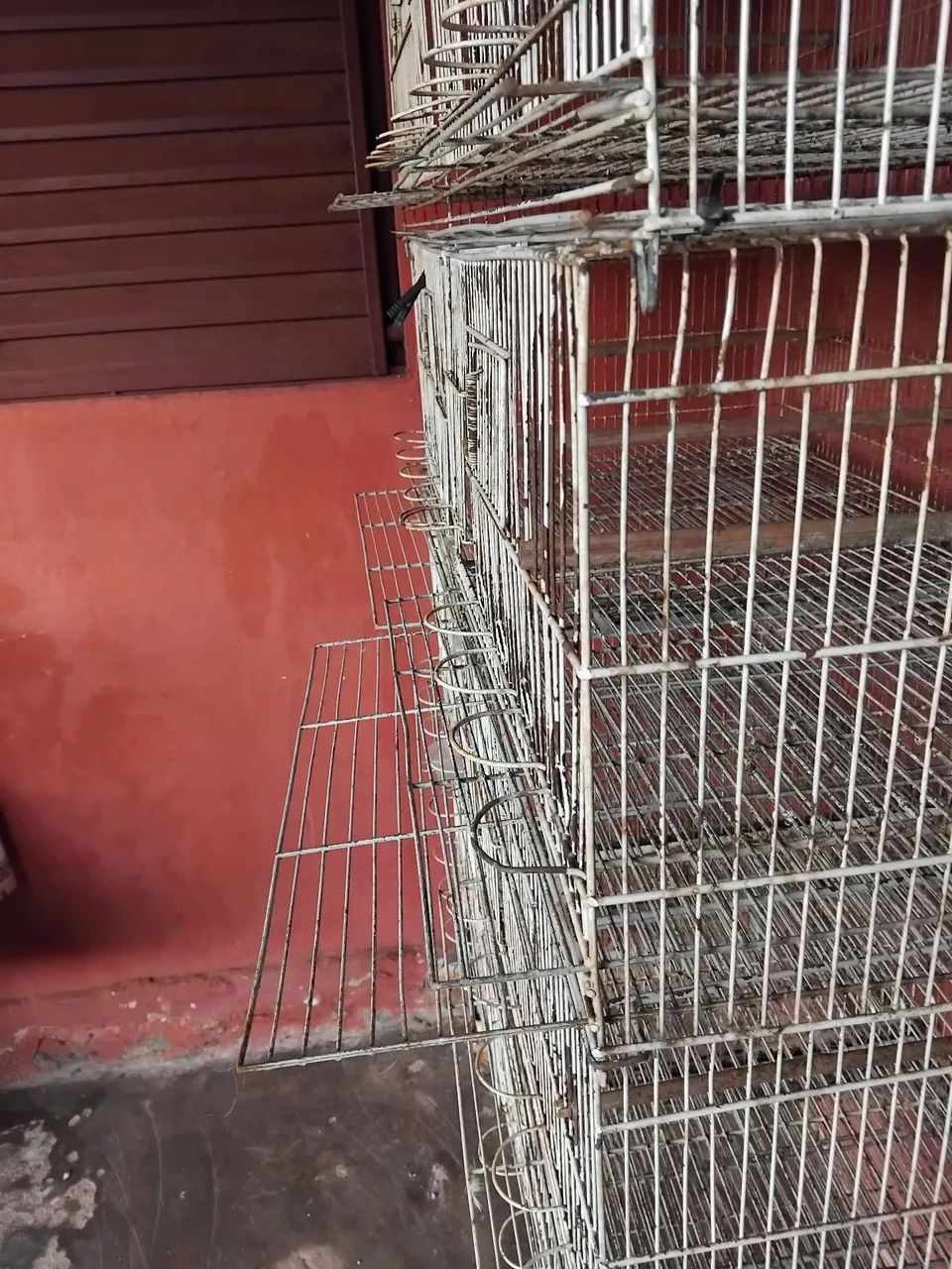 Voadeira para Pássaros  - Foto 2