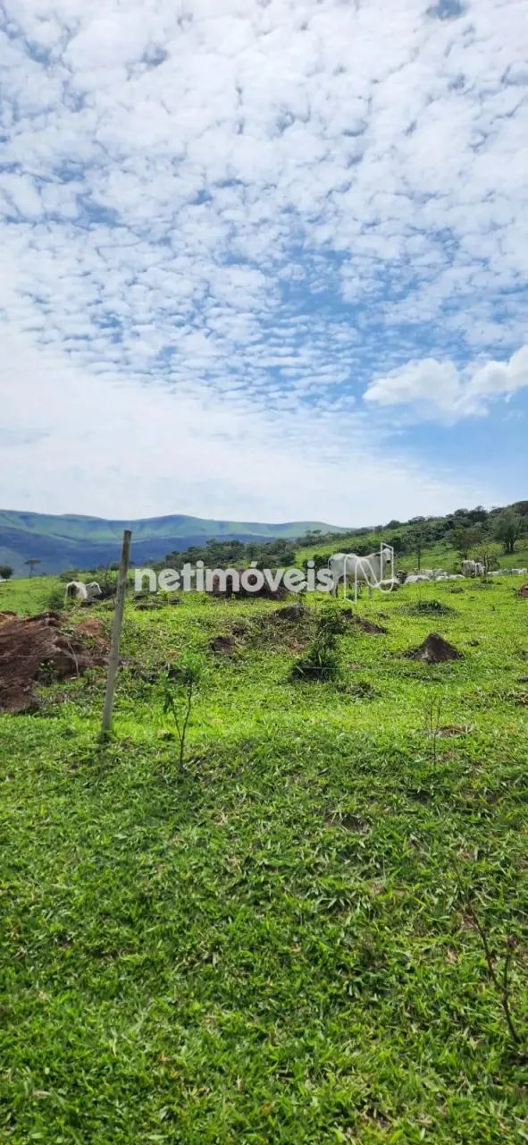 Venda Lote-Área-Terreno São Caetano da Moeda Moeda - Foto 5