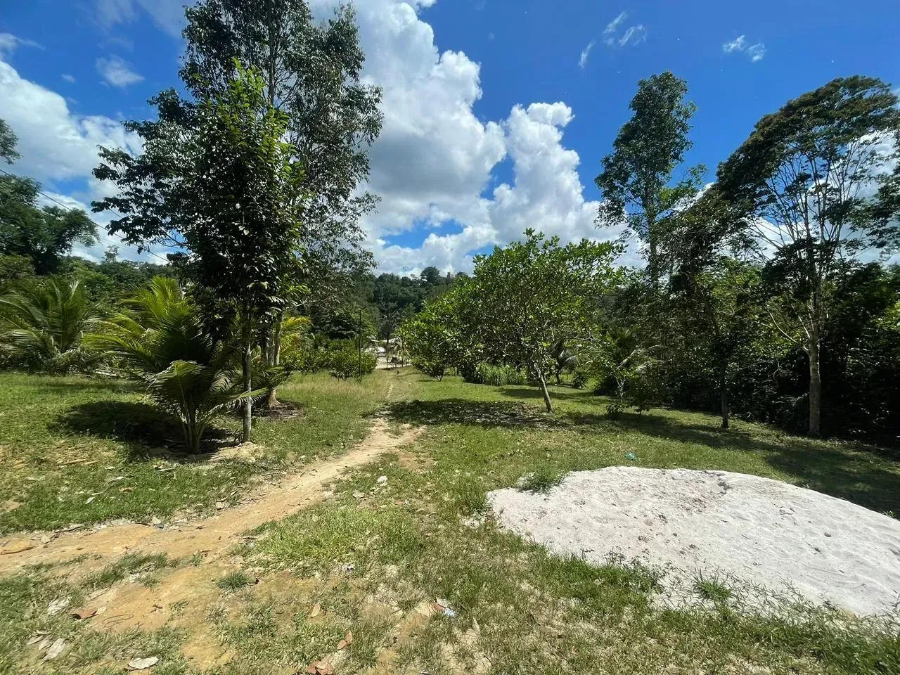 Sítio no Pau Rosa, excelente oportunidade!! - Foto 2