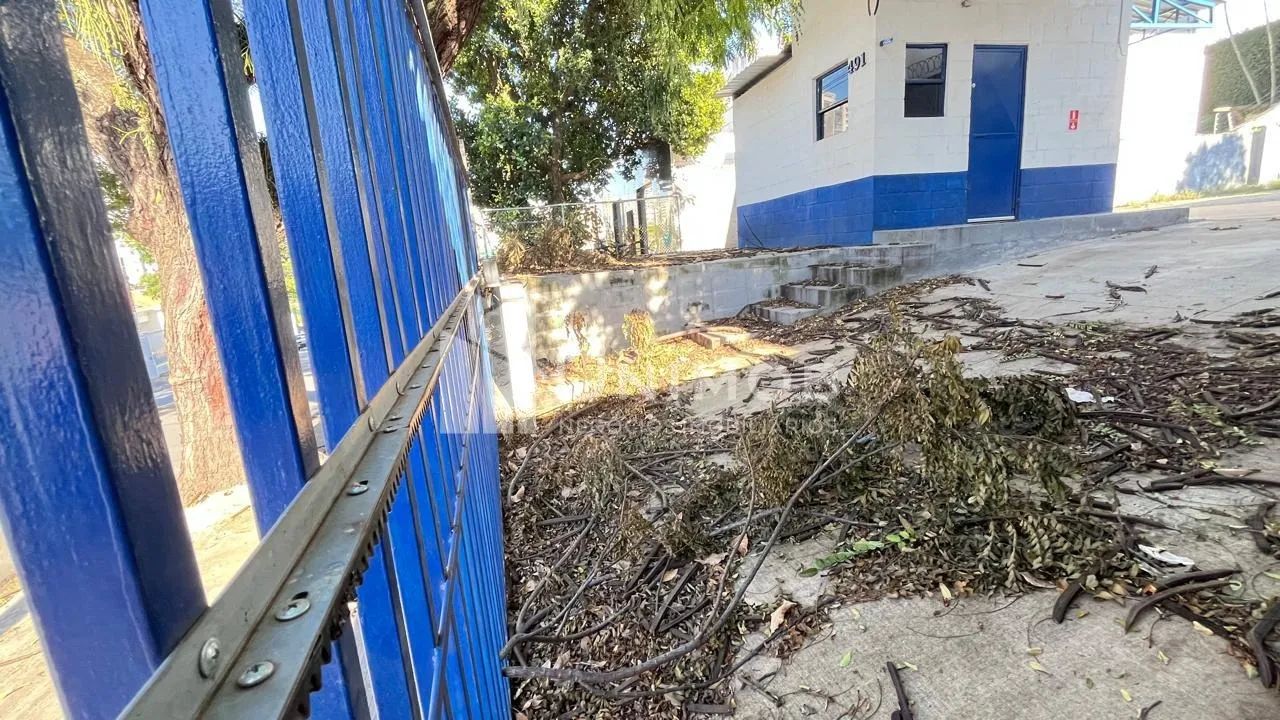 terreno - Nova Campinas - Campinas - Foto 4