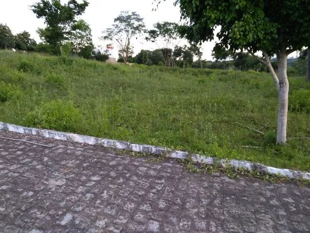 Terreno 12x30m (300m2) plano em rua calçada  - Foto 2