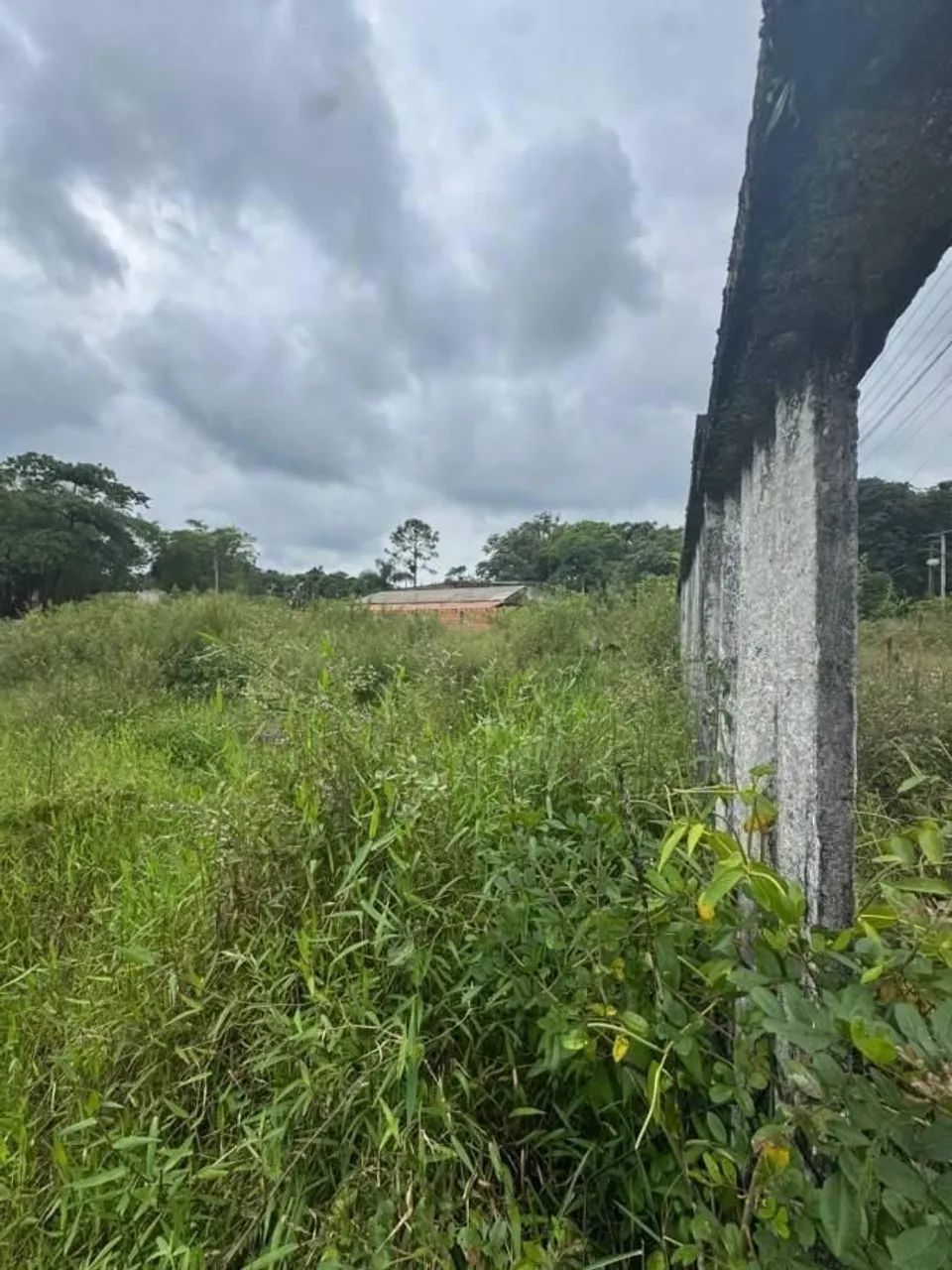 Lote/Terreno à Venda, Coronel - Itanhaém - Foto 5