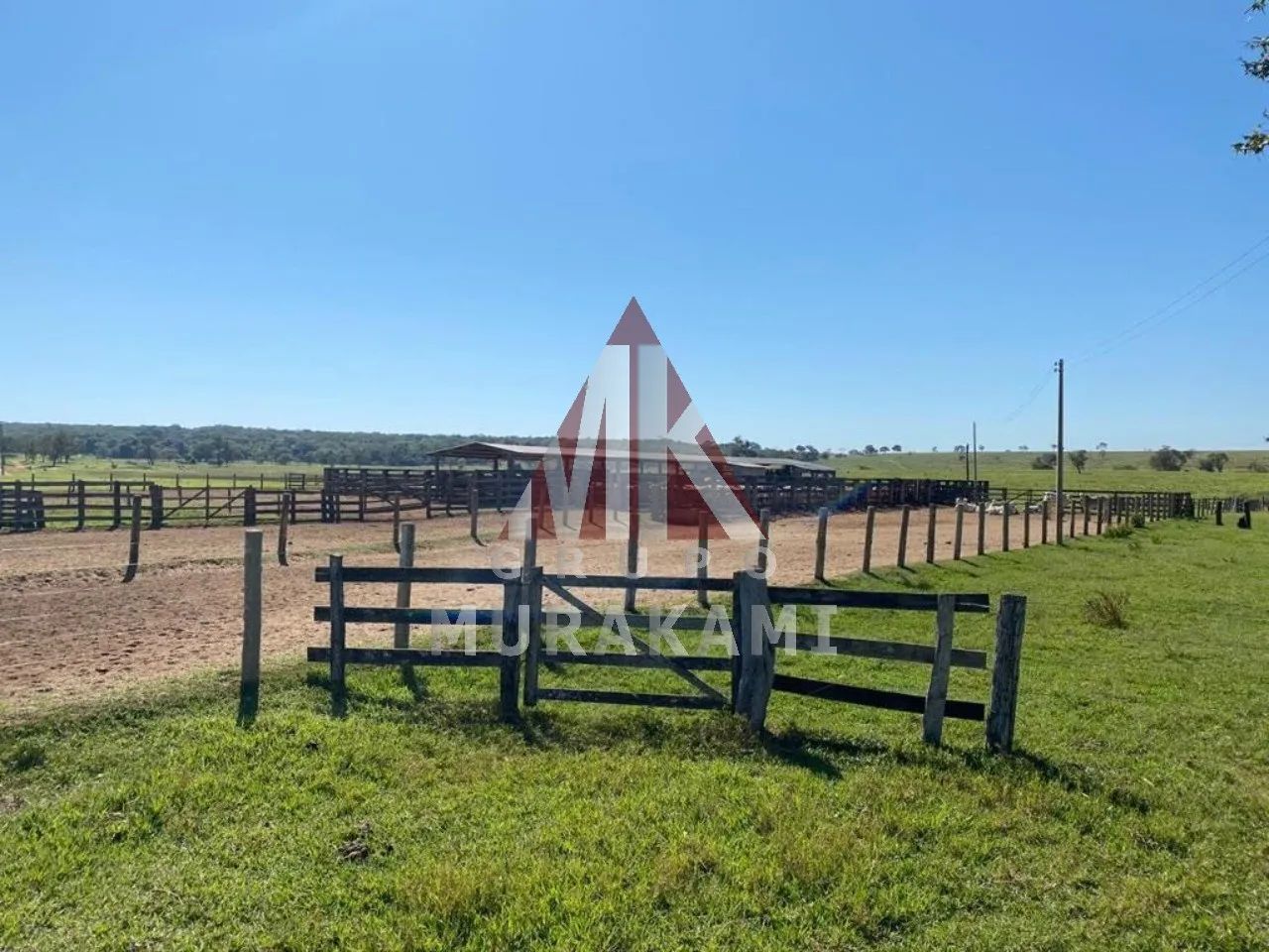 FAZENDA - BRASILÂNDIA - MS - Foto 2