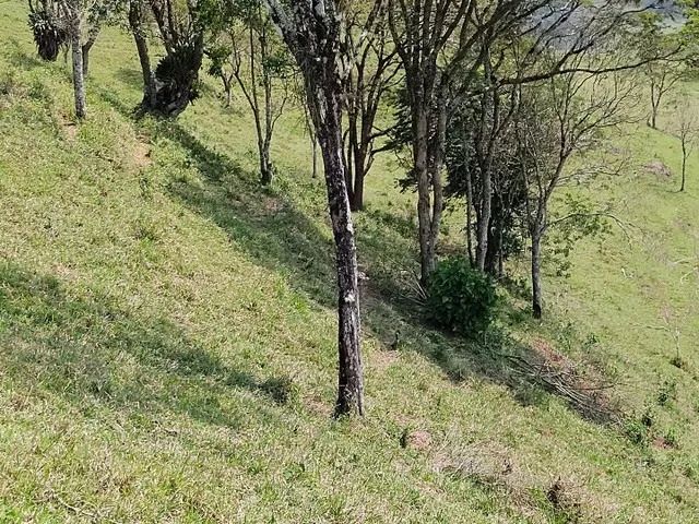 TRAJANO DE MORAES - RURAL - CENTRO - Foto 4