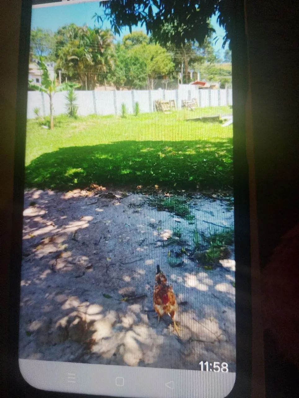Vendo uma chácara com uma casa ? - Foto 2