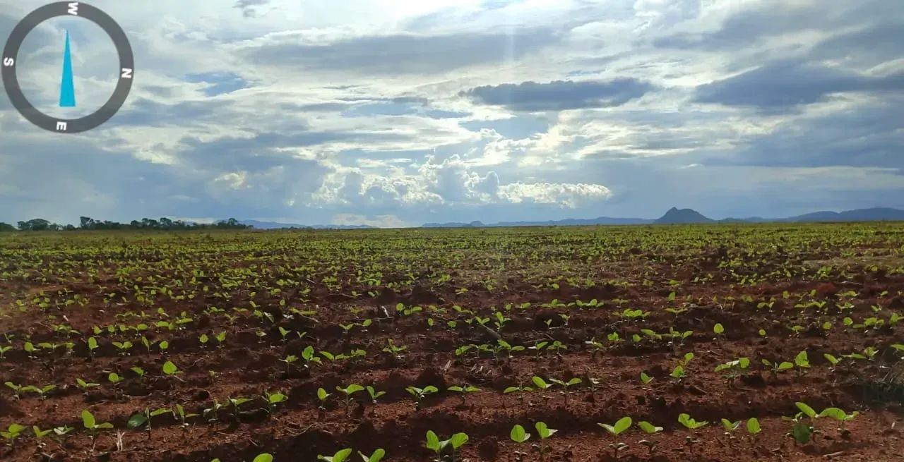 Fazenda a venda, em Almas Tocantins!!! - Foto 2