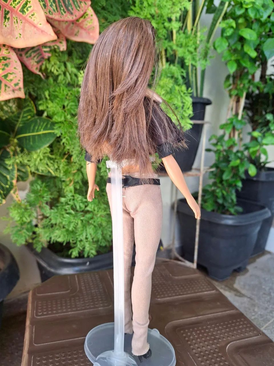 Barbie stylosa  - Foto 5