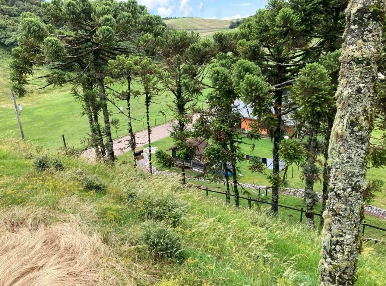 Terreno em santo Antônio do pinhal bairro lajeado 