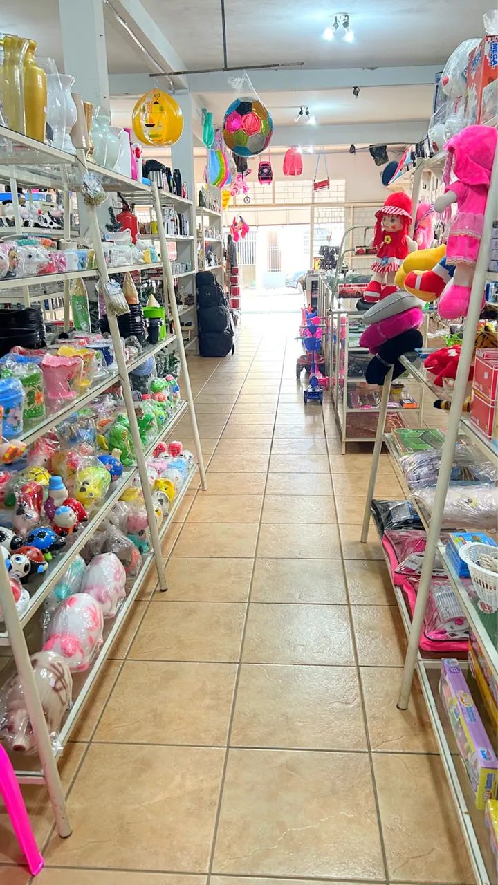 VENDO LOJA DE VARIEDADES COMPLETA - Foto 5