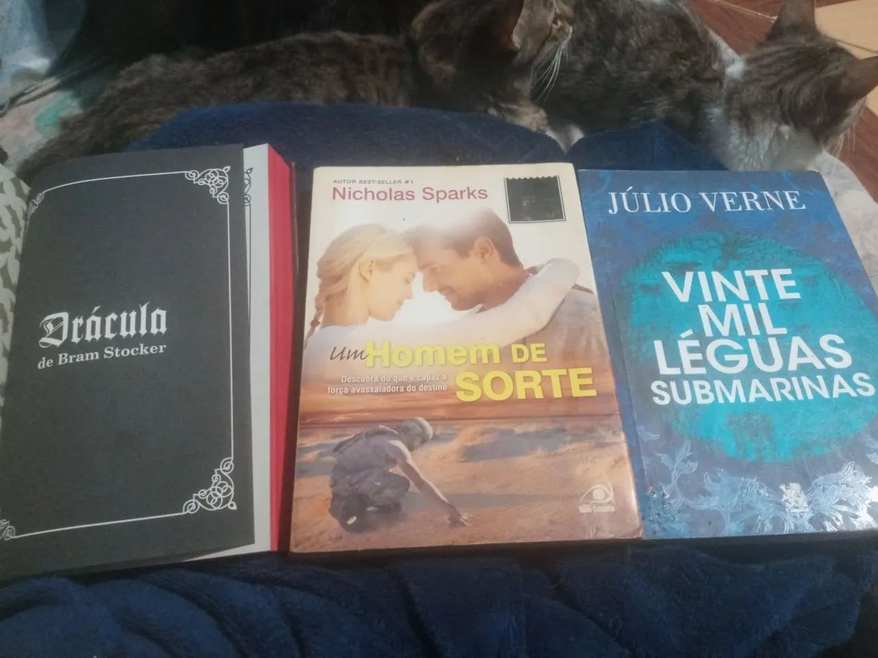 Livros diversos e fanfic - Foto 2